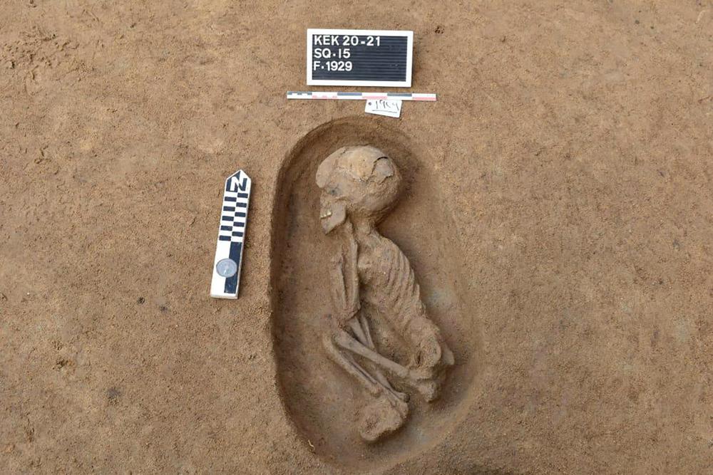 Fotos | Arqueólogos de Egipto desentierran 110 tumbas antiguas en el delta del Nilo