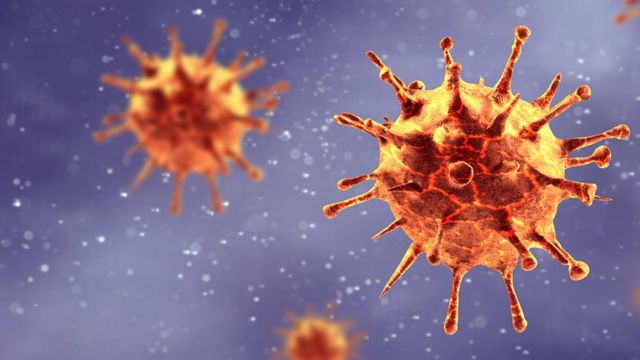 Identifican cuatro sustancias que pueden inhibir la replicación del coronavirus