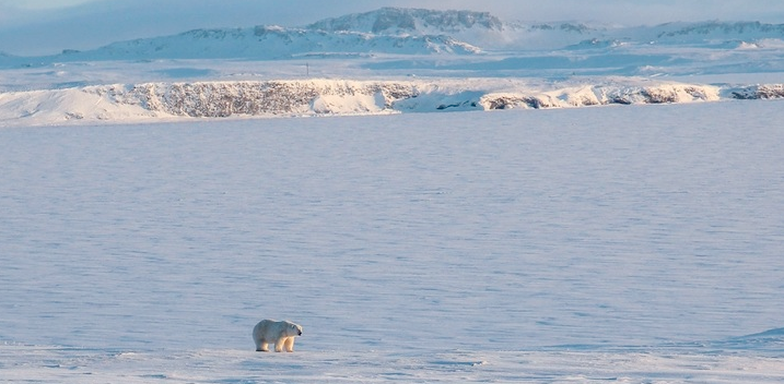 Hielo ártico se está derritiendo dos veces más rápido de lo previsto según científicos