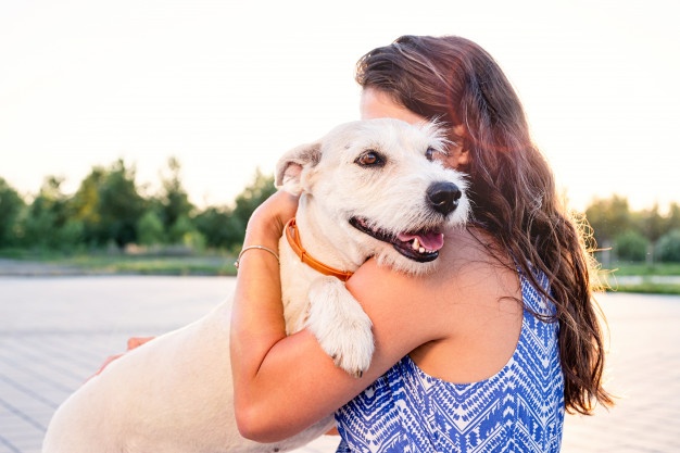 Abrazar a un perro ayuda a mejorar el bienestar mental de las personas