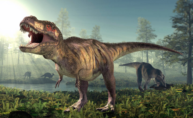 China: Descubren dos nuevas especies de dinosaurio que habitaron la Tierra hace más de 120 millones de años