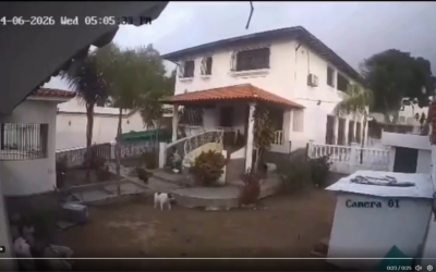 Video muestra la fuerza brutal del terremoto del 24 de junio en una vivienda
